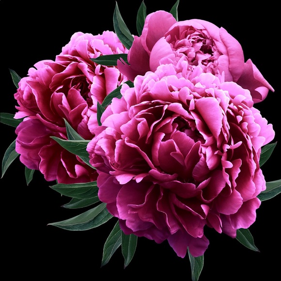 Meet your Posher, Carina - Picture 6 of 12